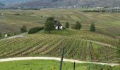Randonnée Marche Leiwen - Leiwen hohe 6,6 km vineyards view  - Photo 3