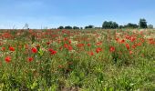 Trail Walking Val-de-Scie - Auffay - Photo 9