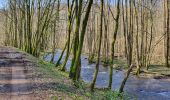 Trail Walking Daverdisse - Daverdisse - Du Gaudru - G1 - Photo 1