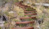 Tocht Stappen Unknown - The Pinacle Grampians Nationaal Park Victoria Australie - Photo 20