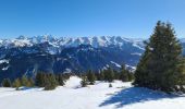 Tour Schneeschuhwandern Fillière - CREPON DE  MONTOULIVERT - Photo 8