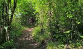 Trail Walking Le Diamant - Taupinière vers O'mulane  - Photo 13