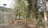Tocht Te voet Houffalize - Promenade du Lac de Nisramont - Photo 3