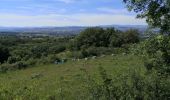 Randonnée Marche Chasselay - Le bois Chatelard - Photo 4