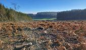 Trail Walking Bouillon - Rochehaut 110124 - Photo 12