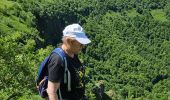 Tour Wandern Lavigerie - 2024 RA Cantal Puy Mary - Photo 2