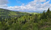 Trail Walking Grendelbruch - Tour du petit Rosskopf & piton du Falkenstein - Photo 8