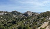 Tour Wandern Marseille - Calanques - Photo 11