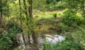 Tocht Stappen La Roche-en-Ardenne - Samree-maboge-Samree - Photo 6