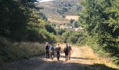 Tocht Stappen Rosis - De l’Espinouse au Caroux - Photo 6