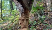 Excursión Senderismo Court-Saint-Étienne - En passant par les têtes de bois. - Photo 12