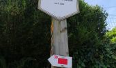 Trail Walking Bouillon - Corbion - Promenade des 3 légendes (version longue)  - Photo 11