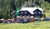 Percorso A piedi Gemeinde Puchberg am Schneeberg - Wasserfallwirt (Sonnleiten) - Losenheim - Edelweißhütte - Fadensteig - Fischerhütte - Kloster wappen (Schneeberg) - Photo 3