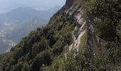 Excursión Marcha nórdica Saint-Agnan-en-Vercors - pas de chabrinel et tour de la tête de faisan - Photo 4