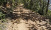 Tocht Stappen Rivière-sur-Tarn - Puech de Fontaneilles - Photo 14