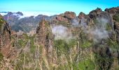 Tocht Te voet Ilha - Vereda do Areeiro (Pico Areeiro – Pico Ruivo) - Photo 6