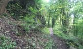 Trail Walking Esneux - pré de tilff . bois du manant.  bois des chevreuils  . pré  de tilff - Photo 8