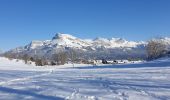 Tour Schneeschuhwandern Demi-Quartier - Montée chalet de la Vielle-Beauregard-la Ravine. Descente Fouettaz - Photo 9