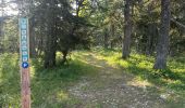 Trail Walking Saint-Agnan-en-Vercors - Veymont pré râteau  - Photo 1