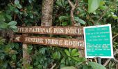 Tour Wandern Bras-Panon - boucle des cascades du chien par le sentier de la Caroline  - Photo 2