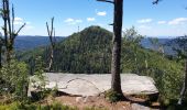 Trail Walking Grandfontaine - Positions fortifiées du Donon sentier des casemates - nord - Photo 20