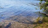 Tocht Stappen Froidchapelle - La balade du grand cerf aux lacs de l’eau d’heure  - Photo 7