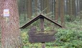 Tour Wandern Tellin - Resteigne - Photo 15