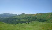 Percorso Marcia Laveissière - Cantal - le Lioran - Bec de l Aigle - 10.8km 540m 4h55 - 2019 06 26 - Photo 3