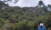 Trail Walking Saint-Raphaël - Le Drapeau d'Agay St Raphaël  - Photo 3