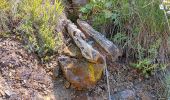 Excursión Senderismo Puy-Saint-Eusèbe - canal de reyssas jusqu'aux Touisses / retour par le GR Serre-Ponçon via ravin de la pisse  - Photo 15