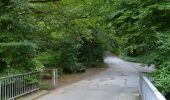 Tour Zu Fuß Unknown - Küllenhahn Rundweg A1 - Photo 2