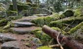 Excursión Senderismo Aubure - Aubure rocher du tétras  - Photo 4