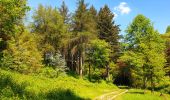 Randonnée Marche Wanze - Balade de Moha à Huccorgne - Photo 8