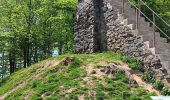Trail Walking Waimes - baraque michel - botrange via fagne de polleur, retour via fagne wallonne  - Photo 14