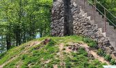 Randonnée Marche Waimes - baraque michel - botrange via fagne de polleur, retour via fagne wallonne  - Photo 14