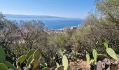 Randonnée A pied Ajaccio - Sentier des Crêtes Ajaccio et Grotte N - Photo 1