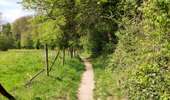 Trail Walking Doische - Promenade de la Bonne-Fontaine   - Photo 11