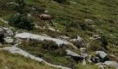 Trail Walking Belvédère - Boucle vallon verrairiers, pas de l'Arpette en boucle - Photo 1