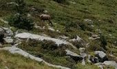 Excursión Senderismo Belvédère - Boucle vallon verrairiers, pas de l'Arpette en boucle - Photo 1