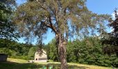 Trail Walking Sainte-Ode - Lavacherie - Photo 11