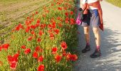 Trail Walking Ottignies-Louvain-la-Neuve - 2020-05-21 IR226 Rofessart 20 Km de GR Rando - Photo 16