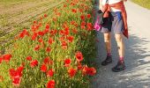 Tocht Stappen Ottignies-Louvain-la-Neuve - 2020-05-21 IR226 Rofessart 20 Km de GR Rando - Photo 16