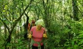Randonnée Marche Montauroux - Les gorges de la Siagne et les chênes pluricentenaires - Photo 12