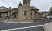 Tour Wandern Marchastel - [06] Compostelle : de Marchastel / Nasbinals à Saint-Chély-d'Aubrac - Photo 6