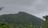 Excursión Senderismo Le Vauclin - la montagne du Vauclin - Photo 13