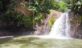 Trail Walking Petit-Bourg - Guadeloupe - Saut de la Lézarde - Photo 5