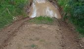 Excursión A pie Ochoz u Brna - naučná stezka Hády a Údolí Říčky - Photo 10