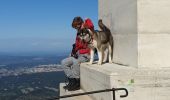 Tocht Trail Saint-Antonin-sur-Bayon - Rouge Sainte Victoire - Photo 1