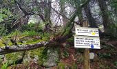 Tour Wandern Urbeis - Les deux lacs - Photo 1
