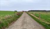 Trail Walking Libramont-Chevigny - Entre Vierre et Ourthe - Photo 10
